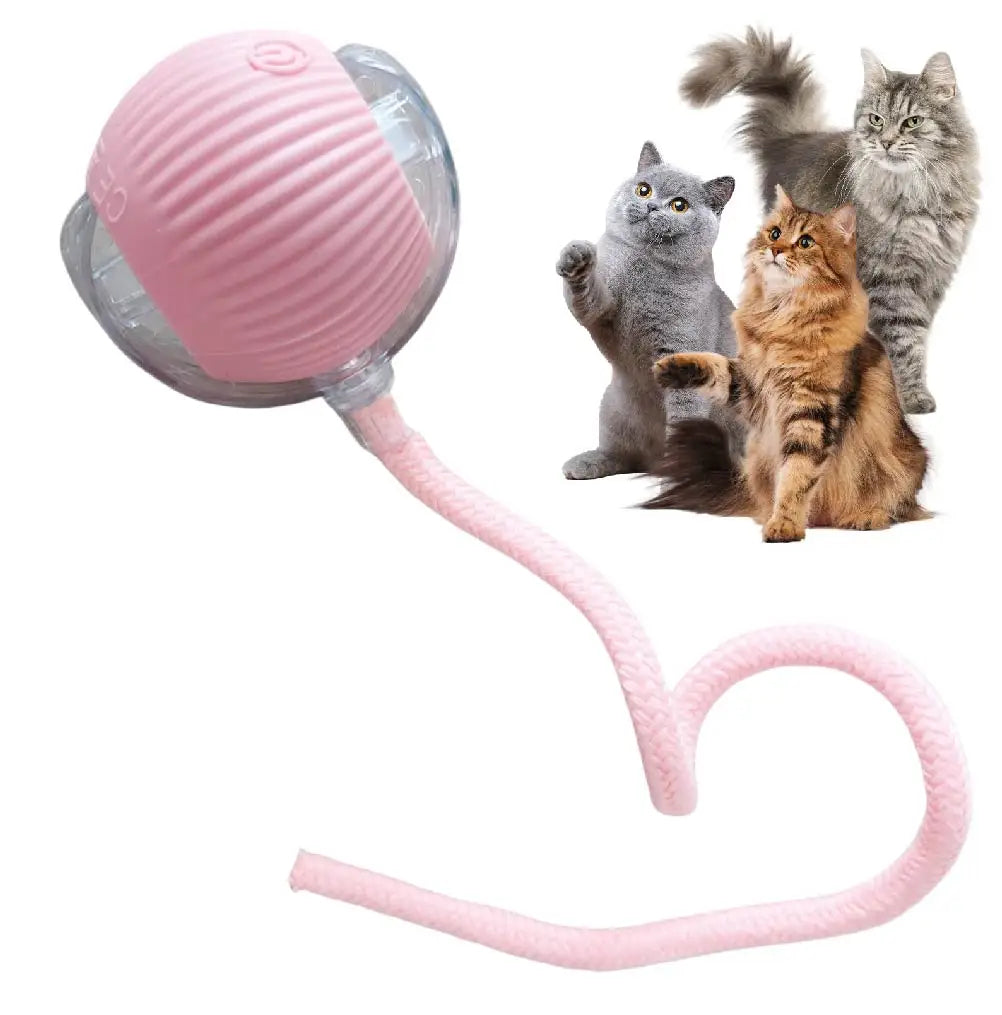 Automatic Rolling Ball Cat Toy with Glowing Tail – USB Rechargeable Interactive Pet Toy