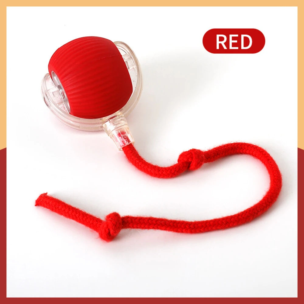 Automatic Rolling Ball Cat Toy with Glowing Tail – USB Rechargeable Interactive Pet Toy