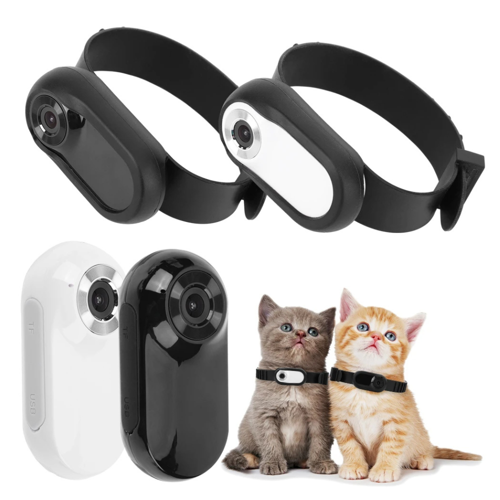 Pet Camera Collar for Cats & Dogs | 1080p HD Video & Photo