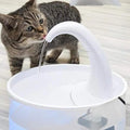 Cat Water Fountain – Flowing Drinking Fountain for Cats