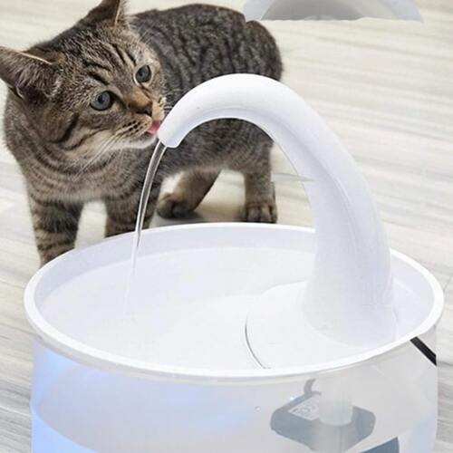 Cat Water Fountain – Flowing Drinking Fountain for Cats