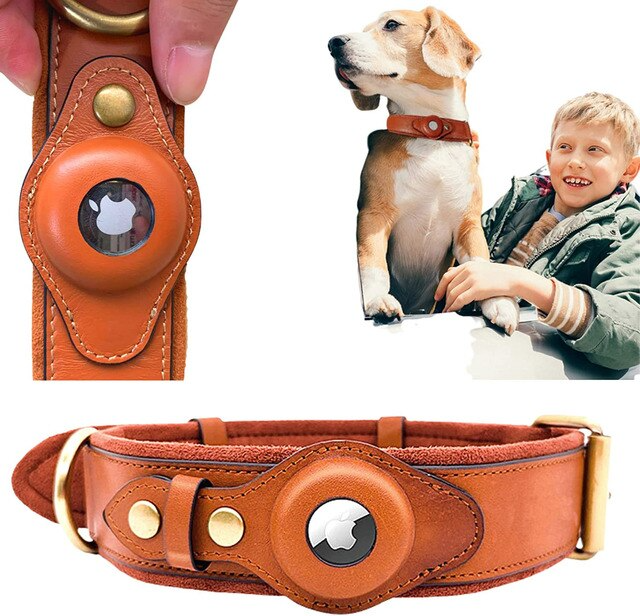 Leather AirTag Dog Collar | GPS Tracking | No Monthly Fee