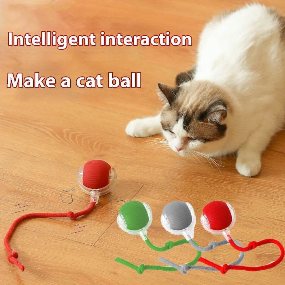 Automatic Rolling Ball Cat Toy with Glowing Tail – USB Rechargeable Interactive Pet Toy