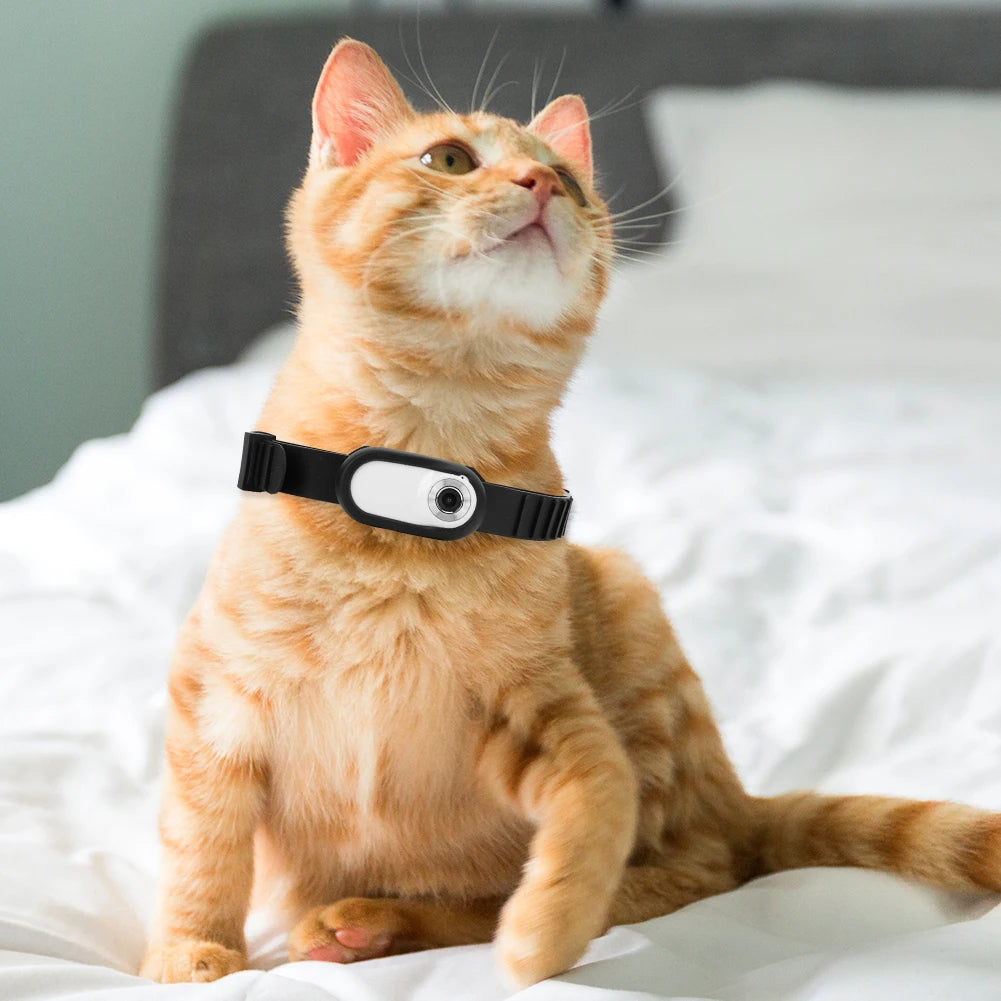 Pet Camera Collar for Cats & Dogs | 1080p HD Video & Photo