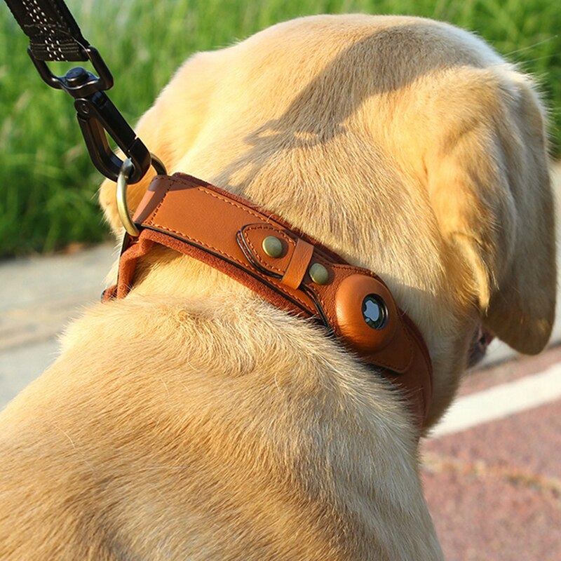 Leather AirTag Dog Collar | GPS Tracking | No Monthly Fee