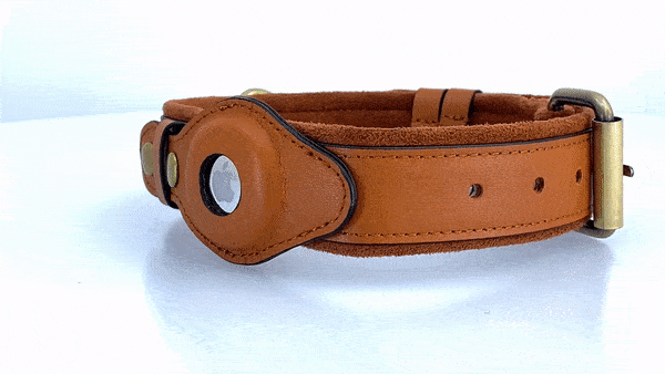 Leather AirTag Dog Collar | GPS Tracking | No Monthly Fee