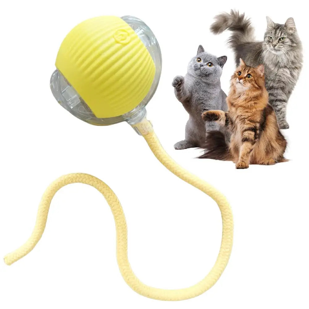 Automatic Rolling Ball Cat Toy with Glowing Tail – USB Rechargeable Interactive Pet Toy