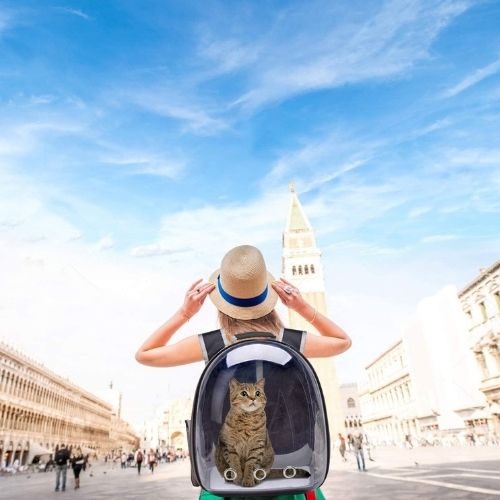 Transparent Capsule Cat Carrier Backpack – Breathable, Durable & Stylish | 8 Colors | Travel Pet Bag