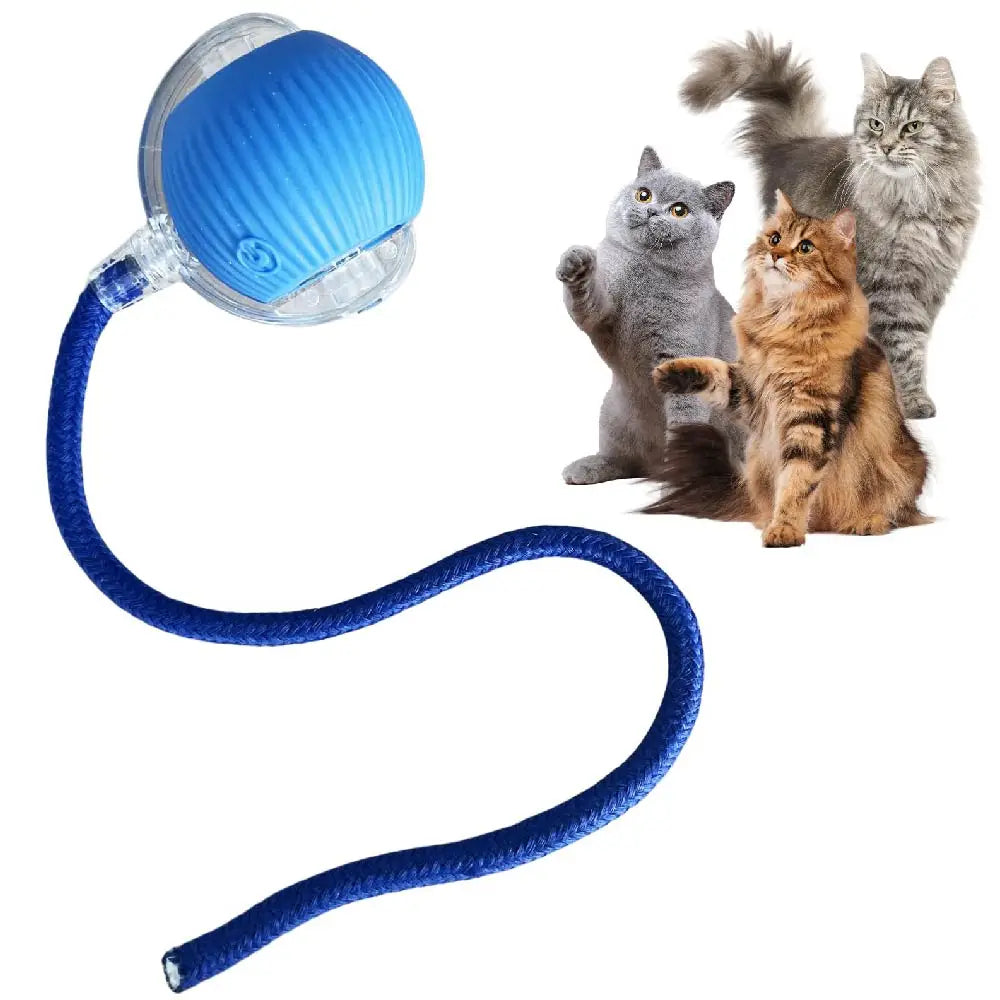 Automatic Rolling Ball Cat Toy with Glowing Tail – USB Rechargeable Interactive Pet Toy